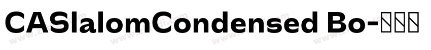 CASlalomCondensed Bo字体转换